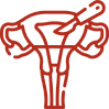 Hysterectomy icon representing uterus removal surgery for women’s health conditions