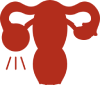 A red icon illustrating the female reproductive system, specifically the uterus with fallopian tubes and ovaries, possibly indicating menstruation or gynecological health.